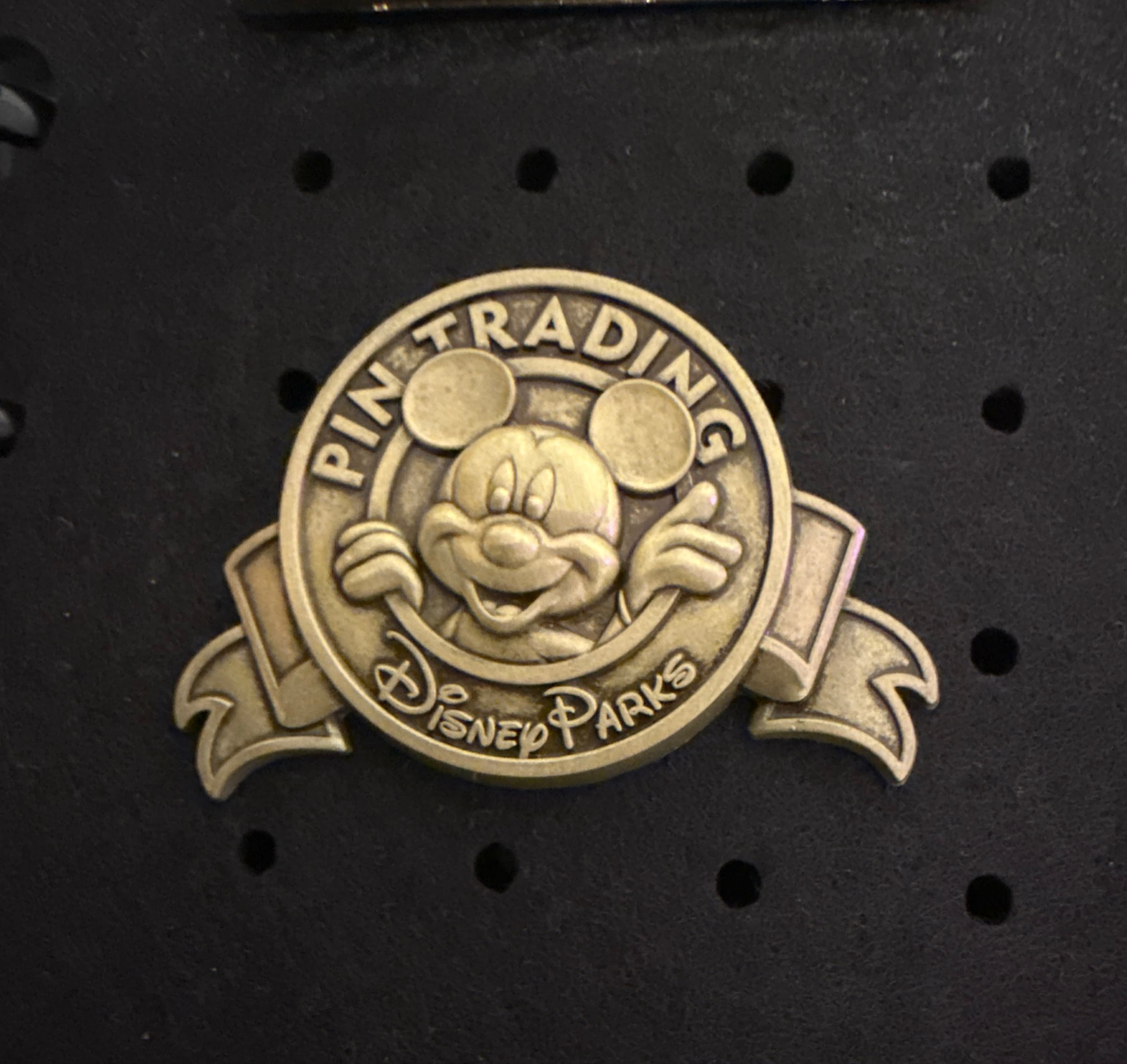 Bronze Pin Trading Logo Banner with Mickey Mouse front