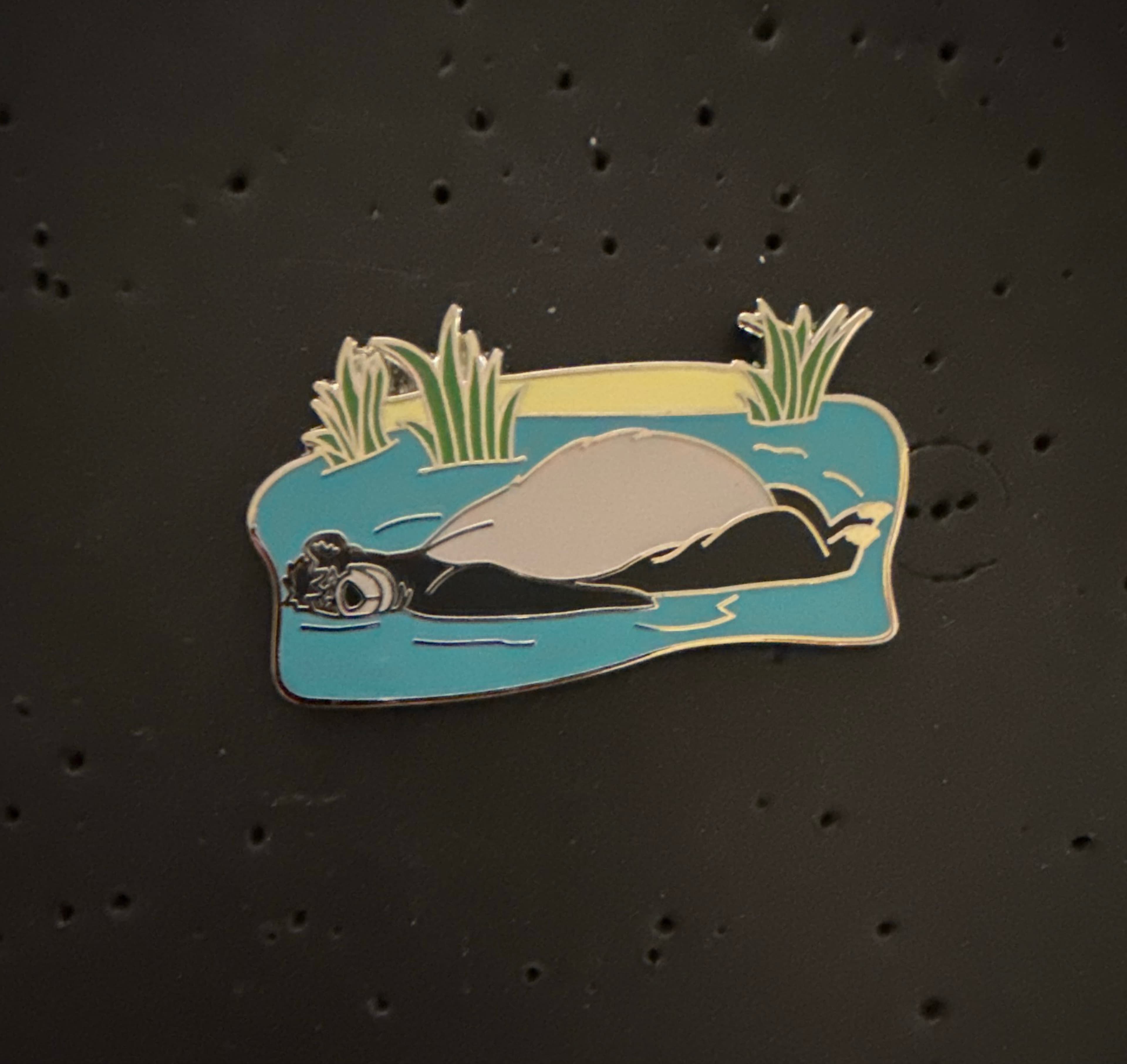 Sleeping Baloo in River - The Jungle Book front