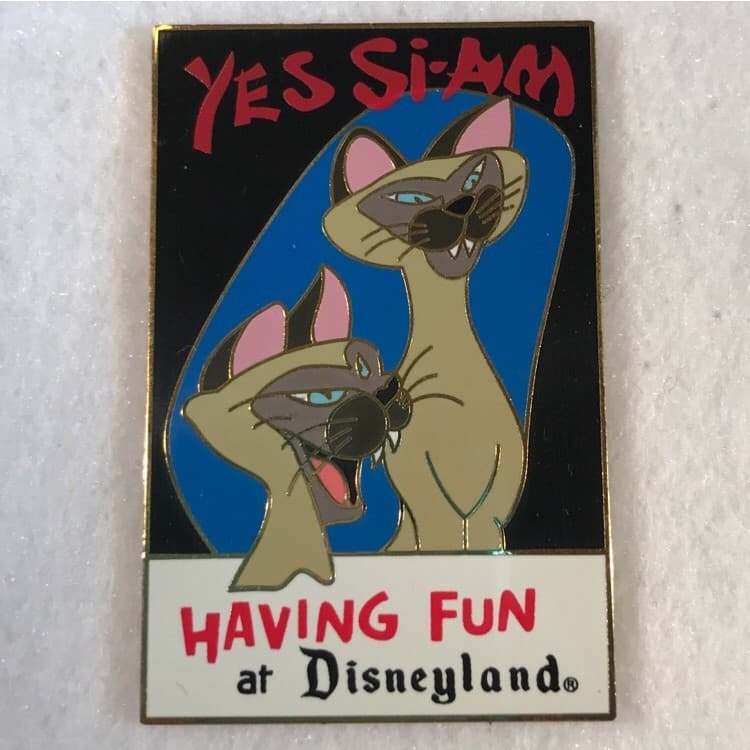 Yes Si-Am Having Fun At Disneyland front